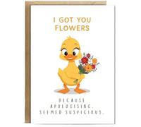 Hippowarehouse I got you flowers because apologizing seemed suspicious Personalised Card A6 with envelope for him for her Funny Cards for Men and Women Blank inside option