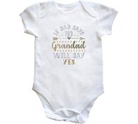 Hippowarehouse If Dad Says No Grandad Will Say Yes baby vest bodysuit (short sleeve) boys girls