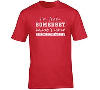 Hippowarehouse I'm from Somerset What's Your Superpower? Unisex Short Sleeve t-Shirt (Specific Size Guide in Description) Red