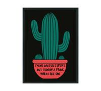 Hippowarehouse I'm no cactus expert but I know a prick when I see one Printed Poster A4 Wall Art Design Classroom Room Gym Office Décor