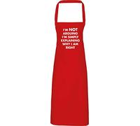 Hippowarehouse I'm not arguing i'm simply explaining why I am right Apron kitchen cooking painting DIY onesize adult