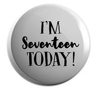 Hippowarehouse I'm Seventeen today - 17th Birthday Badge