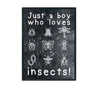 Hippowarehouse just a boy who loves bugs Printed Poster A2 Wall Art Design Classroom Room Gym Office Décor