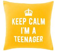 Hippowarehouse Keep Calm I'm A Teenager Printed bedroom accessory cushion cover case 41x41cm