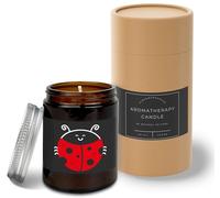 Hippowarehouse Ladybird Candle Aromatherapy 40hr Scented Gift Set Anxiety Relief Sleep Vegan 200g YP