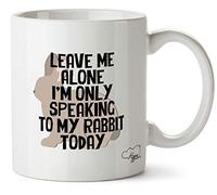Hippowarehouse Leave me Alone I'm only Speaking to My Rabbit Today Printed Mug Cup Ceramic 10oz
