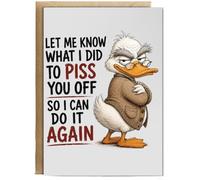 Hippowarehouse Let me know what i did to piss you off Personalised Card A6 with envelope for him for her Funny Cards for Men and Women Blank inside option