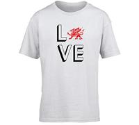 Hippowarehouse Love Wales Kids Children's Short Sleeve t-Shirt White