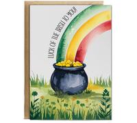 Hippowarehouse Luck of the Irish to you Birthday Card A5 Personalised with envelope for him for her Funny Cards for Men and Women Blank inside option