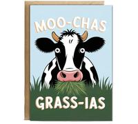 Hippowarehouse Muchas Gracias Cow Personalised Card A5 with envelope for him for her Funny Cards for Men and Women Blank inside option