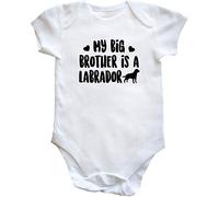 Hippowarehouse My big brother is a Labrador baby vest bodysuit (short sleeve) boys girls