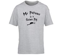 Hippowarehouse My Patronus is A Guinea Pig Kids Children's Short Sleeve t-Shirt Grey