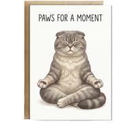 Hippowarehouse Paws for a moment, funny pun health recovery Personalised Card A5 with envelope for him for her Funny Cards for Men and Women Blank inside option