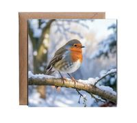 Hippowarehouse Robin in a snowy forest Personalised Card. 15cm x 15cm with envelope for him for her Funny Cards for Men and Women Blank inside option