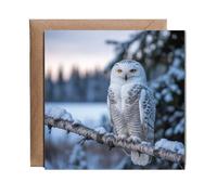 Hippowarehouse snow owl in a snowy forest Personalised Card. 15cm x 15cm with envelope for him for her Funny Cards for Men and Women Blank inside option