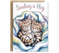 Hippowarehouse Sympathy Card, water coloured cuddling kittens, sending a hug Personalised Card A6 with envelope for him for her Funny Cards for Men and Women Blank inside option
