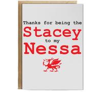 Hippowarehouse Thanks for being the stacey to my nessa Birthday Card A5 Personalised with envelope for him for her Funny Cards for Men and Women Blank inside option