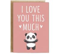 Hippowarehouse Valentines Day Card I Love you this much Panda Birthday Card A5 Personalised with envelope for him for her Funny Cards for Men and Women Blank inside option