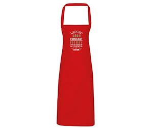 Hippowarehouse Weekend Forecast Pottery With No Chance of Cleaning or Cooking Apron kitchen cooking painting DIY onesize adult