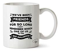 Hippowarehouse We've Been Friends so Long I Can't Remember which one of us is The Bad Influence Printed Mug Cup Ceramic 10oz