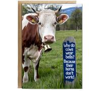 Hippowarehouse Why do cows wear bells? Because their horns don’t work! Birthday Card A5 Personalised with envelope for him for her Funny Cards for Men and Women Blank inside option