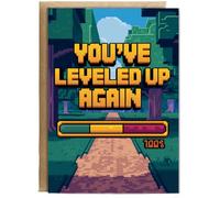 Hippowarehouse You’ve Leveled Up Again Birthday Card A5 Personalised with envelope for him for her Funny Cards for Men and Women Blank inside option