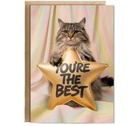 Hippowarehouse You're the Best with Cat with a Gold Star Birthday Card A5 Personalised with envelope for him for her Funny Cards for Men and Women Blank inside option