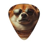 Hipster-Shiba-Inu-Daisy 12 Pack Guitar Picks With 3 Thicknesses And Storage Box, Abs Plectrums For Electric Bass Guitar Players