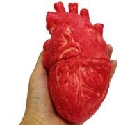 Hiraith Life-sized Bloody Latex Human Heart Prop, Halloween Decorations for Haunted Houses, Magic Tricks, April Fool's,Prank Props with Adtevak (Red)