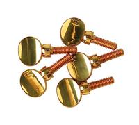 Hiraith Saxophone Neck Receiver Tightening Screw Durable Brass Sax Screw for Improved Sound Quality 5 Pcs for Saxophonist