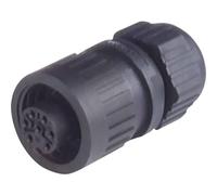 Hirschmann 934 125-100-1 934125100 Round Plug Coupling, Straight Total Number of Poles: 3 + PE Series (Circular Connector): CA 1