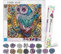hirsrian Girl Toys Age 6 7 8 9 10 11 12,5D DIY Diamond Painting Kits for Kids Adult Arts and Crafts Owl Gifts for 6-12 Year Old Girls,Presents for Birthday Christmas & Children's Day(15.7 inx15.7 in)