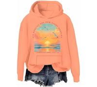 His Mercies Are New Every Morning Sweatshirt Sunrise Seagull Graphic Hoodie Christian Bible Verse Tops