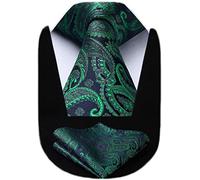 HISDERN 63 Inch Mens Ties Extra Long Tie and Pocket Square | 160cm Length，Various Types of Knotted Neckties，Perfect for Big and Tall，Necktie and Handkerchief，Formal，Wedding，Business，XL
