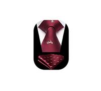 HISDERN Burgundy Tie for Men Motorcycle Pattern Ties Handkerchief Novelty Animal Print Wedding Necktie & Pocket Square Set