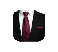 HISDERN Burgundy Ties for Men Foraml Classic Check Tie and Handkerchief Wedding Business Necktie and Pocket Square Set