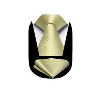 HISDERN Champagne Ties for Men Classic Wedding Elegant Tie and Pocket Square Set Formal Necktie Handkerchief Business Party