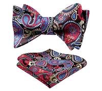 HISDERN Floral Bow Ties for Men Self Tie Bowtie with Pocket Squae Set Red Paisley Bowtie for Wedding Party Prom Adjustable