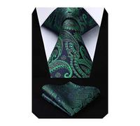 HISDERN Floral Paisley Wedding Tie Handkerchief Men's Necktie & Pocket Square Set, One Size, Green / Navy Blue