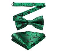 HISDERN Green Bow Tie for Men Audlt Pretied Bow Tie with Handkerchief Elegant Adjustable Stain Bowtie Emerald Green for Wedding Banquets