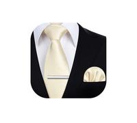 HISDERN Men's Cream Ties Set 3.4" Tie and Pocket Square with Clip Gents Solid Color Necktie Hankerchief Wedding Business Formal Classic Neckties Sets for Men