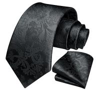 HISDERN Men's Tie Black Paisley Floral Ties and Pocket Square Set