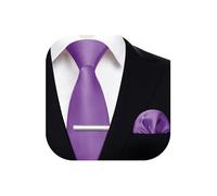 HISDERN Mens Ties Set 3.4" Purple Tie and Hankerchief with Clip Solid Color Formal Classic Necktie and Pocket Square Wedding Business Party Necktie Sets for Men