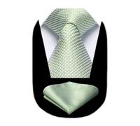 HISDERN Sage Green Ties for Men Classic Wedding Tie and Pocket Square Sets Formal Elegant Business Necktie Party