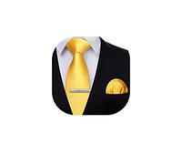 HISDERN Yellow Ties for Men Solid Color Formal Classic Tie and Pocket Square Set Wedding Business Party Necktie and Handkerchief Clips