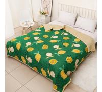 Hiseng Fruit Prints Quilted Bedspreads Single Double King Size, 2025 2.5 Tog Soft Coverless Duvet, Lightweight Bed Throws, Reversible Summer Quilted for Sofa Bed (Lemon and green,200 * 220cm)