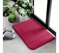 Hiseng Memory Foam Bath Mat, Non Slip Machine Washable Bathroom Mat, Highly Absorbent Supersoft Shower Mat, Microfiber Bath Rug Foot Mat for Bathroom Floor (40x60cm,-Red -)
