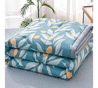 Hiseng Solid Color Quilt Double Single King Size Bed Comforter, Cosy Lightweight Coverless Duvet Quilt for All Seasons, Machine Washable (Blue,150x200cm)