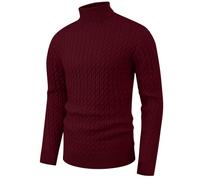 Hisir Mens Jumper Turtle Neck Tops Twisted Knitted Pullover Winter Slim Fit Long Sleeve Sweater Solid Colour Basic Warm Jumpers (06 Wine Red, XXL)