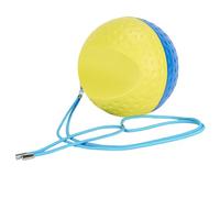 HiSnug The Connector Golf Training Aid Ball - Golf Swing Trainer for Posture Correction Practice and Consistent Swings, Simple and Effective Tool to Fix Chicken Wing, Backswing & Ball Striking, Large